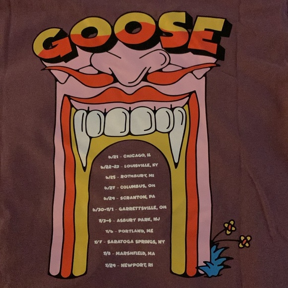 RARE GOOSE CONCERT TEE - Picture 4 of 4